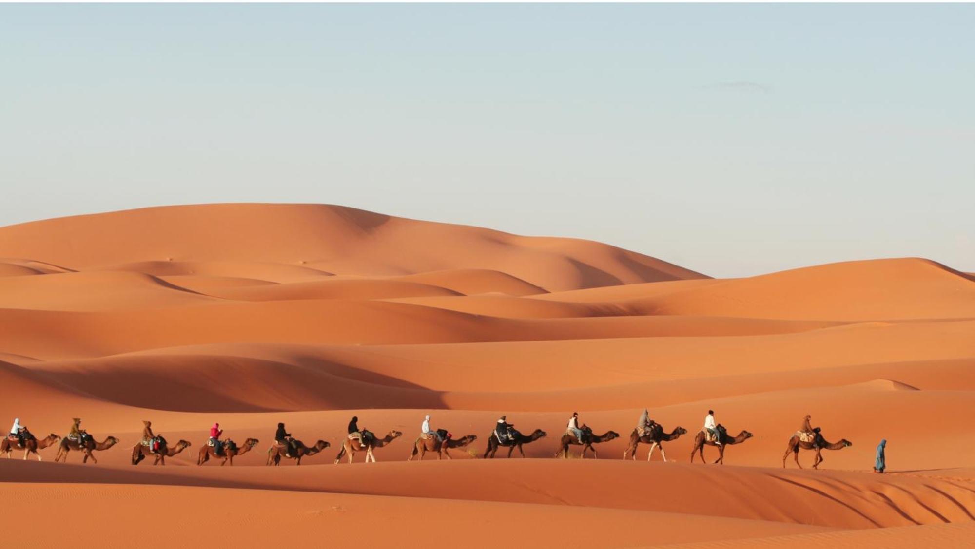 Serenity Desert Luxury Camp Luxury tent